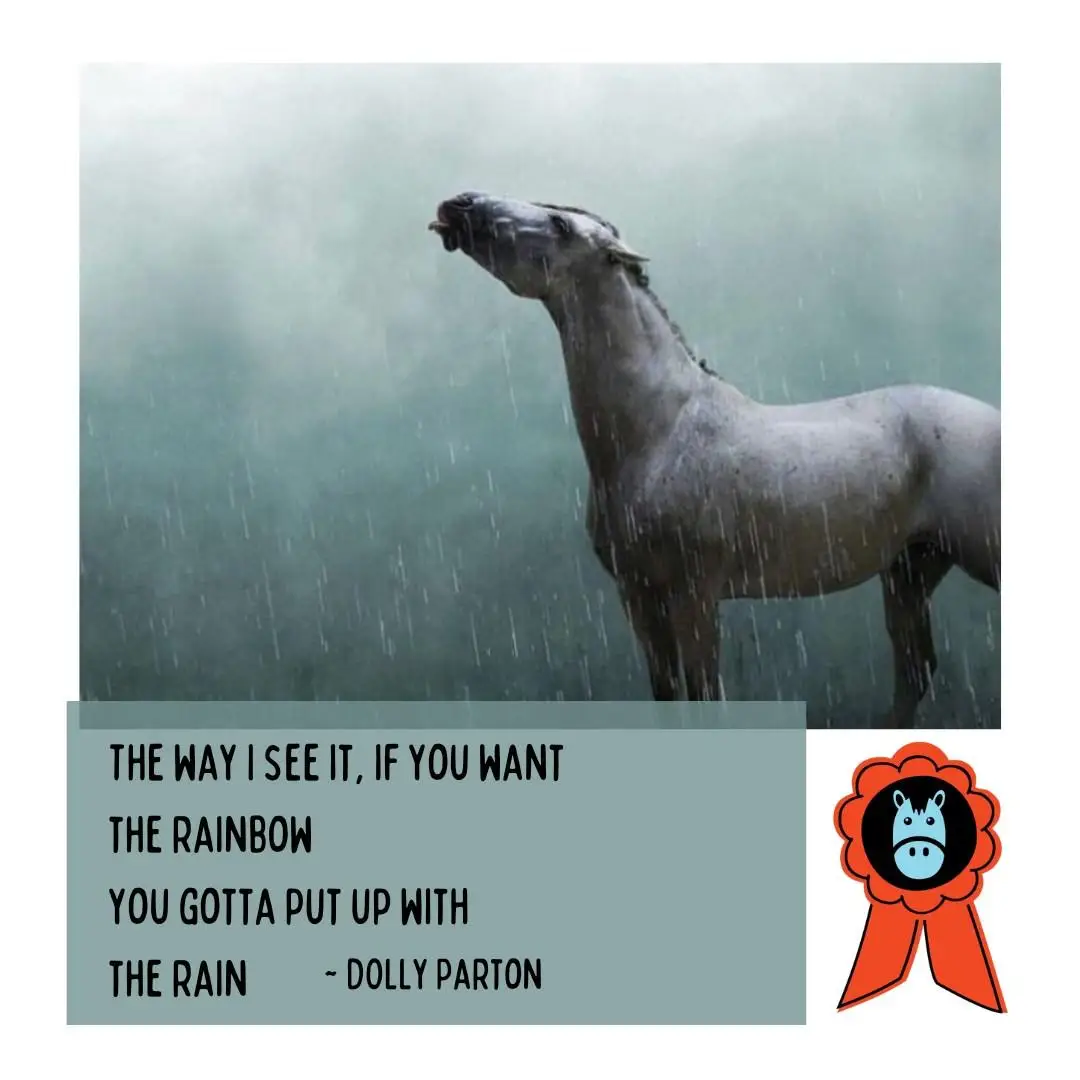 Put a smile on your horse's face with the sweet, burst of minty flavour in each Rewardz Horse Treats scotch mint. 
Rewardz are the first scotch mints in Canada to be registered as a horse treat with the Canadian Food Inspection Agency and marketed to horse enthusiasts.  And, with only 3 grams of sugar in each peppermint - you control the sugar. 
Support a Canadian brand that donates to horse welfare. Treat with PURPOSE. 

 #dressagehorse #hunterjumper #hunterjumper #quarterhorse #thoroughbred #standardbred