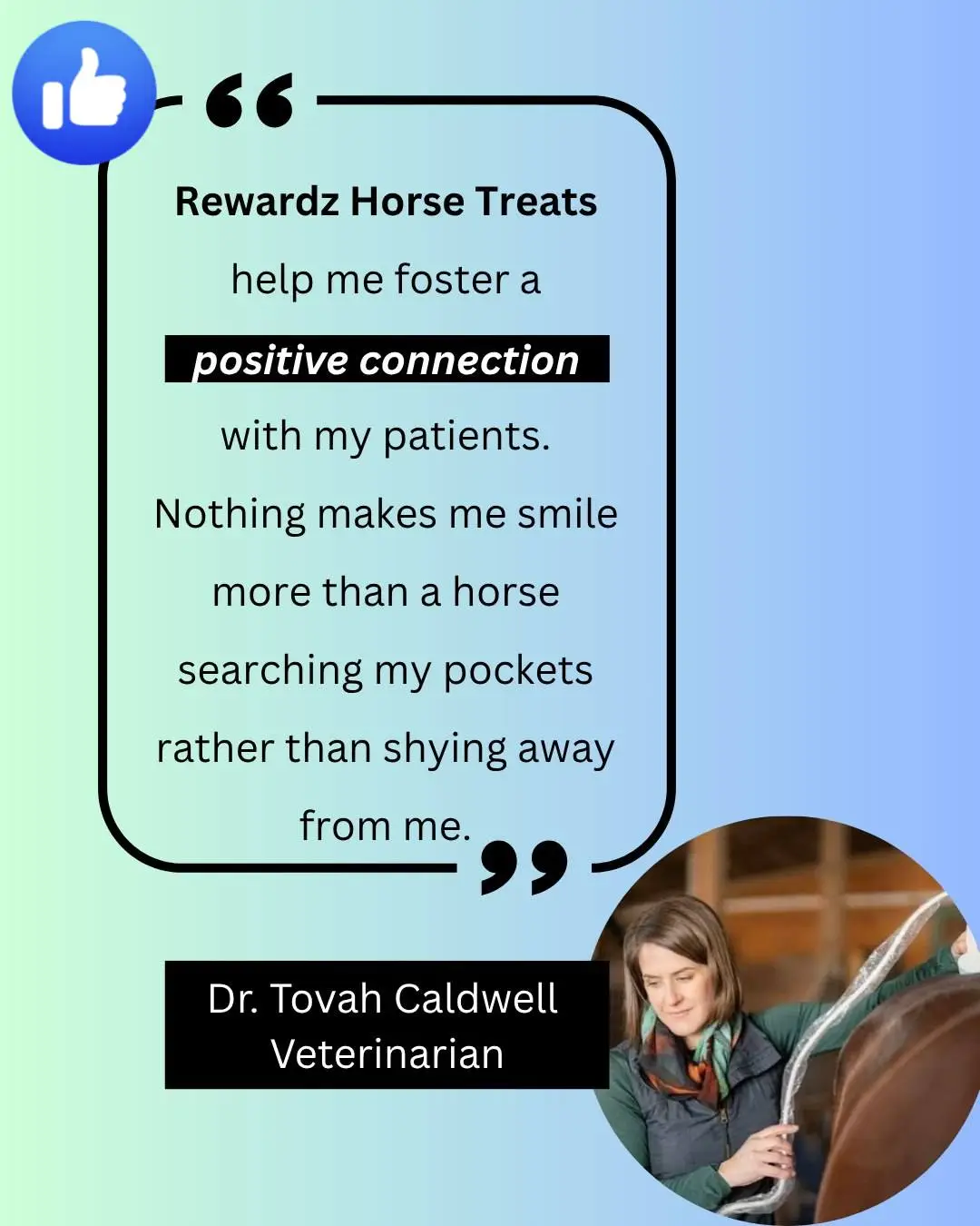 scotch mints are the first and only scotch mints registered as a horse treat with the Canadian Food Inspection Agency and support horse welfare. Treat with Purpose. Link in bio.

 #Veterinarian #veterinarian #equinevet #lovemyhorse #dressage #dressagehorse #dressagerider #drivinghorse #combineddriving #quarterhorse #thoroughbred #standardbred #standardbreds