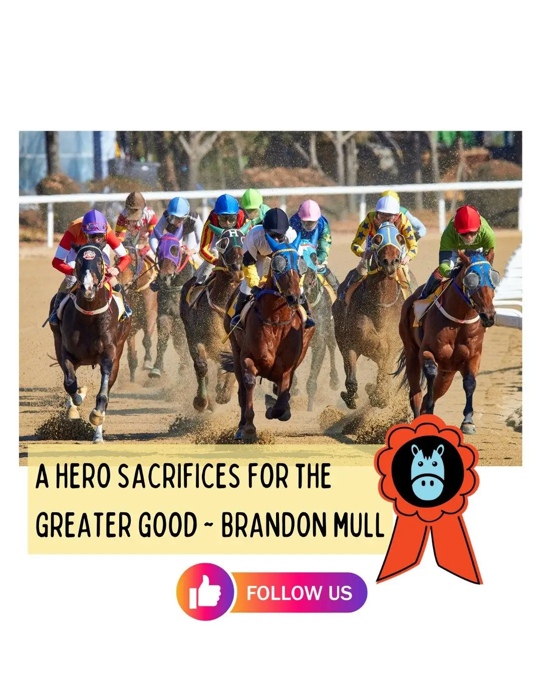 🐴 SOVEREIGNTY🐴, the horse that won the Kentucky Derby, was opted-out of the Preakness Stakes by his connections, thereby sacrificing their chance for a Triple Crown win. This potentially life-changing decision was made because, "We want to do what's best for the horse." They came back to win the Belmont Stakes. HEROES? YAY or NEIGH?

 #horsetrainer  #dressagehorse #horseracing  #quarterhorse #hunterjumper #sovereignty #horsewelfare #thoroughbred #lovemyhorse #rewards #rewardzhorsetreats #dressagepony