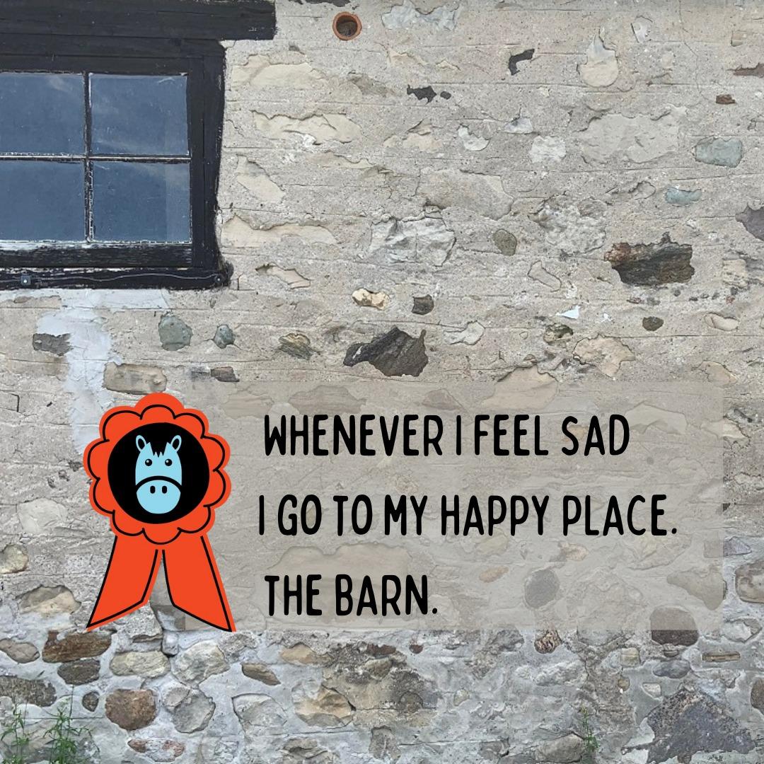 #dressage #dressagehorse #thoroughbred #quarterhorse #equestrianlifestyle #greenhawk #standardbred