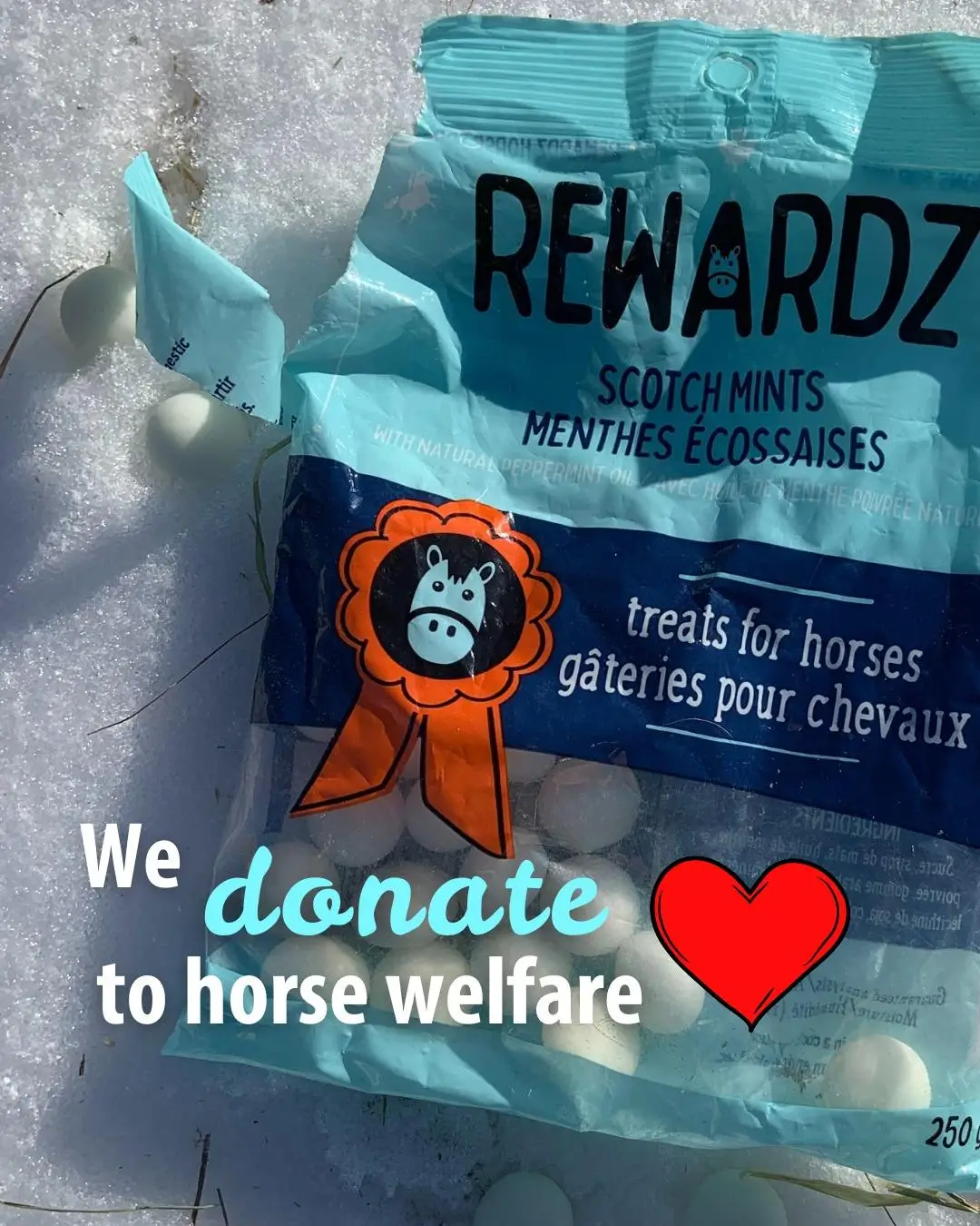 Together, we can create a brighter future for horses in need! 
🐴❤️ As part of our commitment to horse happiness, Rewardz is proud to make a donation in support of  @lastchancehorseandpony's incredible work! 
TREAT with Purpose.

 #rescuehorses #dressagehorse #dressagehorses #westernhorse #LovemyHorse #lovemyhorse #combineddriving #thoroughbred #standardbred