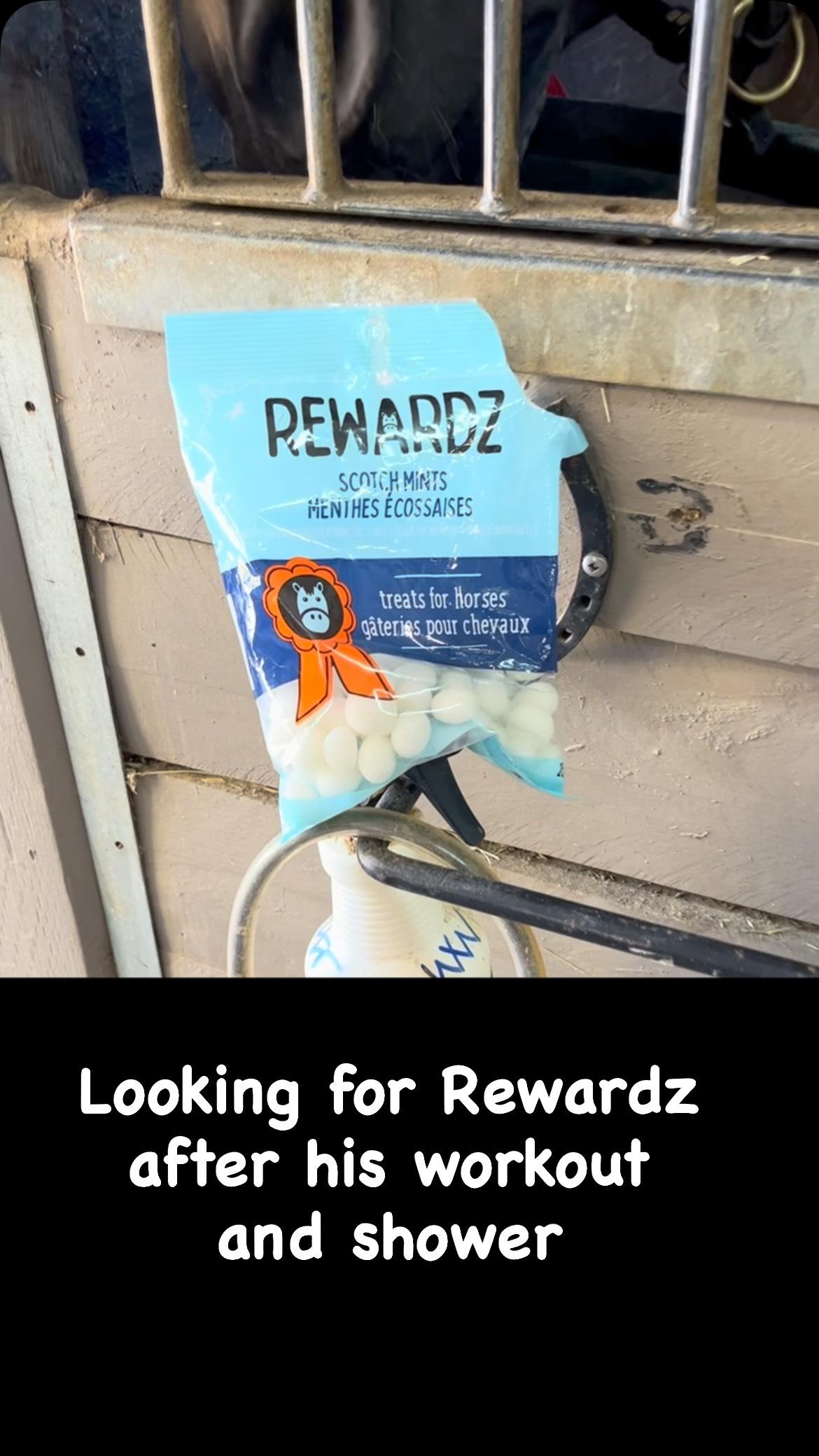 Your horse deserves the burst of natural peppermint flavour in Rewardz Horse Treats scotch mints. And Rewardz donates to horse welfare. Treat with PURPOSE.
#dressagehorse #lovemypony #dressage #quarterhorse #thoroughbred