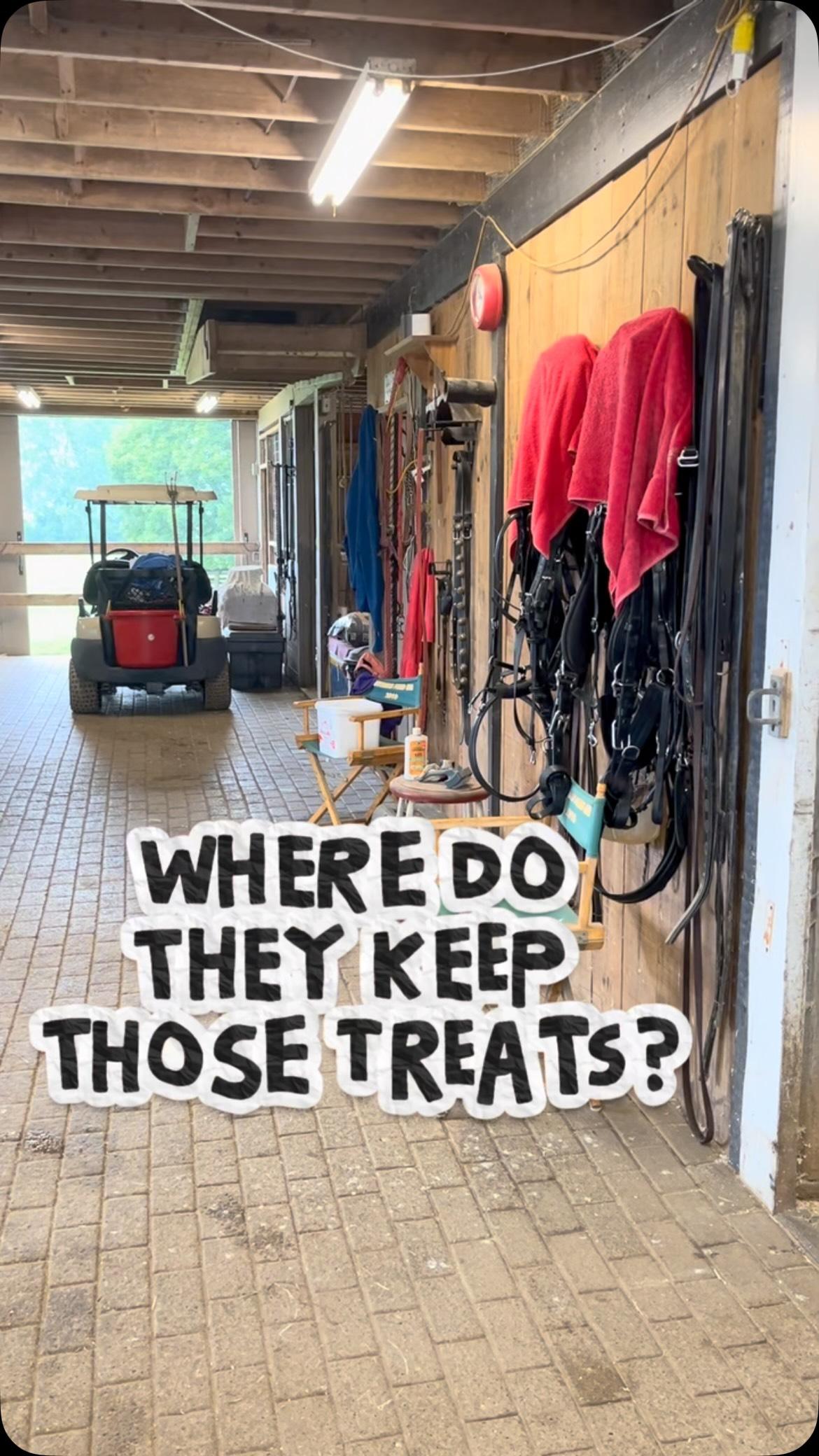 Each Rewardz scotch mint horse treat contains only 3g of sugar….and delivers a burst of rewarding, fresh, minty flavour. It’s tough to keep your hiding place a secret.

Do you hide your horse treats?

#lovemyhorse #dressagehorse #dressage #dressagetraining #dressagerider